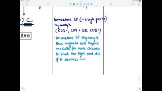 Brandls Basics T cell development [upl. by Nawoj]