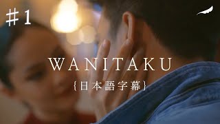 ♯1 WANITAKU 僕の大切な人Noah 日本語字幕 インドネシア人気曲 [upl. by Dowell]