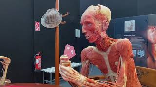 Mark Benecke 🐰 Körperwelten Body Worlds Greiz [upl. by Vitkun536]