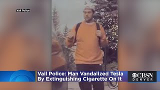 Vail Police Man Vandalized Tesla By Extinguishing Cigarette On It [upl. by Rizzi]