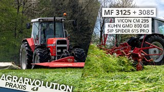 MF 3125  3085  Kuhn  Vicon  SIP • Mowing  tedding grass  Agrarvolution Praxis [upl. by Nomaid]