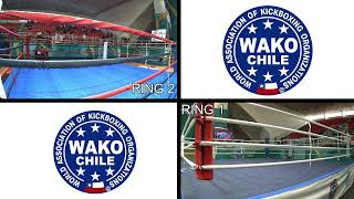 13TH PAN AMERICAN KICKBOXING CHAMPIONSHIPS  Ring 1 amp 2  Día 1 [upl. by Leanna]