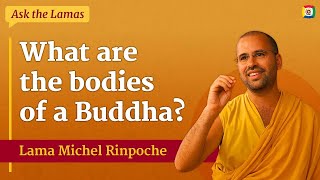 What are the bodies of a Buddha with Lama Michel Rinpoche [upl. by Neyuh]