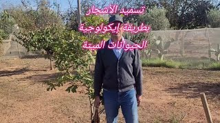 تسميد الشجربطريقة جديدة إيكولوجية بالحيوانات الميتةFertilizing trees In an ecological Dead animals [upl. by Ydnis]