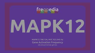 MAPK12 amp MYC cell growth regulation Gene Activation Frequency [upl. by Chester922]