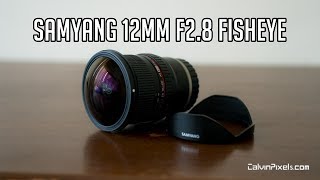 Samyang 12mm F28 Review  Fullframe Fisheye Lens [upl. by Claudetta]