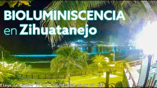 ðŸŒŠ ðŸŒŒ Bioluminiscencia en Zihuatanejo [upl. by Fay452]