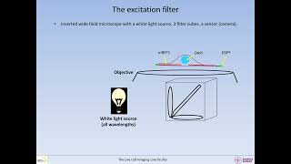 How to evaluate imaging efficiency and risk for bleedthrough Part 1 Basic microscopy [upl. by Egap690]