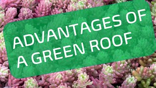 Advantages of a Green Roof [upl. by Yrrat]