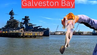 Epic Texas fishing in Galveston Bay [upl. by Steiner634]