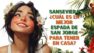 SANSEVIERA ¿Cuál es la MEJOR espada de San Jorge para tener en casa [upl. by Nojed]