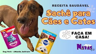 RECEITA de SACHÊ para CÃES e GATOS Molho para ração prático e fácil 🐶🍴 [upl. by Gwen125]