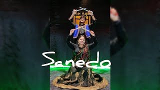 Sanedo  Made In China  Garba Dandiya Choreography  Team Haider youtubeshorts [upl. by Vita822]