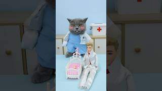 How Does Dr Oscar Perfectly Save New Lives👨‍⚕️🍼 catvideos catmemes trending [upl. by Aip367]