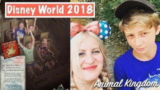 Disney World Vlog  DAY 19  Animal Kingdom Finding Nemo Musical [upl. by Jeth130]