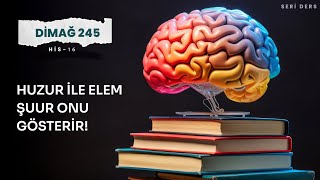 HUZUR İLE ELEM ŞUUR ONU GÖSTERİR  DİMAĞ245 HİS16 [upl. by Hach]