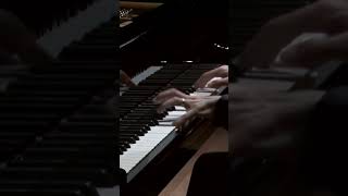 Chopin Ballade No 1 310 [upl. by Aynodal]