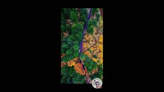 🔴Live 100 CANADA AUTUMN ROAD TRIP CANADA LIFE asmr asmrvideo [upl. by Baniaz]