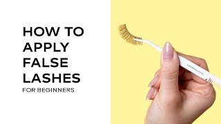 How To Apply False Lashes for Beginners  Strip Lashes Application 101  Hannah Cho Beauty [upl. by Hearsh671]