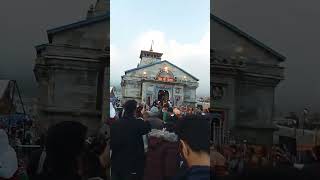 Kedarnath dhamshortsfeed kedarnath kedarnathtemple kedarnathstatus [upl. by Linad152]