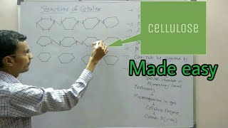 Polysaccharides structure  Cellulose [upl. by Emera]