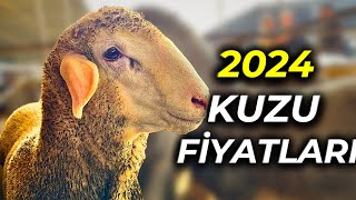 KIVIRCIK KUZUNUN ADRESİ  3000 TL den BAŞLAYAN FİYATLARLA [upl. by Shiri]