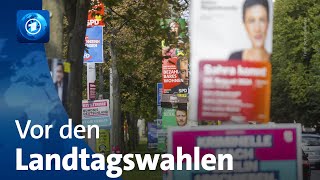 Vor den Landtagswahlen in Thüringen und Sachsen [upl. by Dloraj]