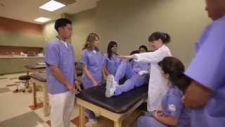 Learn About Our Physical Therapist Assistant Program  Concorde Career College [upl. by Rondon]