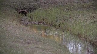 City officials addressing flooding concerns in Fellsmere [upl. by Combe]