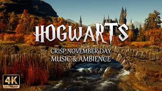 A Crisp November Day at Hogwarts  4K Harry Potter Music amp Ambience [upl. by Yonah]