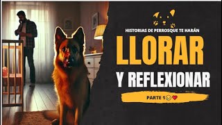 quotHistorias de Perritos que Cambiarán tu Forma de Ver la Vidaquot amorporlosanimales perros [upl. by Ahselef430]