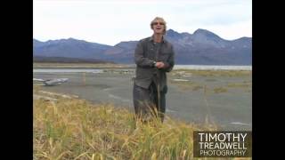 Timothy Treadwell Photography Grizzly Man  Kind Warrior [upl. by Lark]