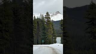 Maligne lake road  Jasper jasper malignelake canadianrockies jaspernationalpark [upl. by Mad]