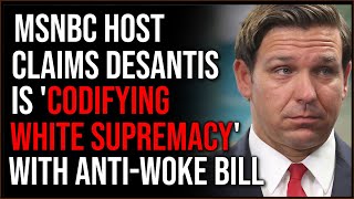 MSNBC Host Claims Ron DeSantis Wants To Codify White Supremacy With His AntiCritical Theory Bill [upl. by Nosnevets]