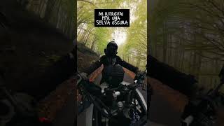 ❗️ Video completo sul canale gigachadtheme moto motociclismo bikeshorts bikelife motorcycle [upl. by Are416]