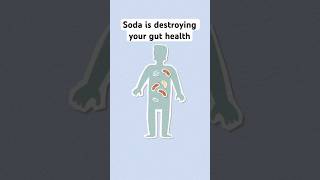 Soda is one of the worst processed consumables for your gut Stay healthy guthealth healthygut [upl. by Irvine]