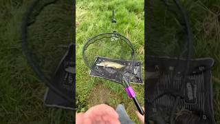 Pike fishing the river Wychwood Agitator setup fishing pikefishing lurefishing [upl. by Meehan]