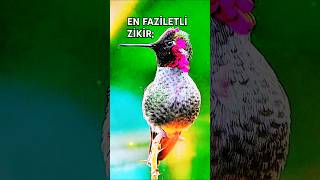 👆🏻BU ZİKİR İLE DUALAR KABUL OLUR 📣🕋🕌👆🏻🤲🏻 islamicstatus islamicvideo islamicshorts shortvideo [upl. by Irap]