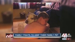 Bonner Springs Kan city ordinance to take away family dog [upl. by Addiel]