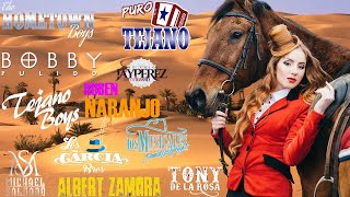 Puro Tejano Mix 2024 Bobby Pulido Hometown Boys Emilio Navaira Michael Salgado Intocable Y Mas [upl. by Dnalrah]