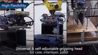 RoboAccess flexible robotic palletizing cell [upl. by Meletius437]