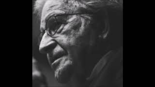 Noam Chomsky  Intelligible Concepts vs Intelligible Theories [upl. by Adelaida914]