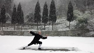 Wudang Sanfeng Taijiquan 13 [upl. by Anyala]