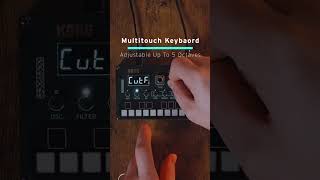 KORG NuTekt NTS1 mkII digital kit  Overview amp Demo [upl. by Akerahs]