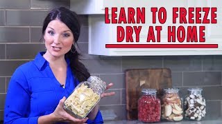 Home Freeze Drying  How It Works [upl. by Avihs]