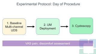 23071 UroMonitor CatheterFree Ambulatory Cystometry is Feasible Safe and WellTolerated An [upl. by Jobey]