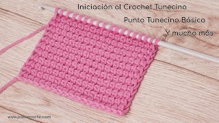 Iniciación al Crochet Tunecino Cómo Hacer el Punto Tunecino Básico y Mucho Más [upl. by Zigrang93]