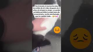 La Sorprendente Historia de un Perro y su Dueño que Te Dejará Sin Palabras [upl. by Yralam]