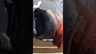 Epic Magnet Fishing Finds in the River [upl. by Eleonore386]