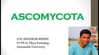 Phylum Ascomycota  General Characters  Plant Pathology  BSc Agriculture [upl. by Keeler]